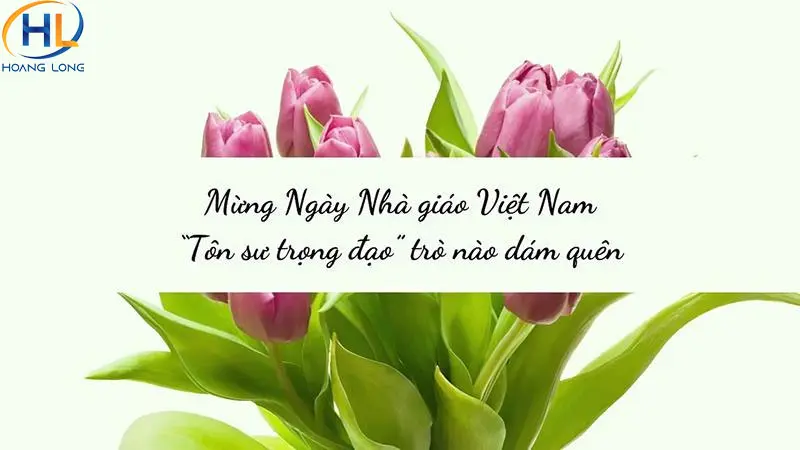 99+ mẫu phông nền, background 20/11 đẹp và ấn tượng nhất 2025