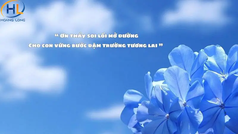 99+ mẫu phông nền, background 20/11 đẹp và ấn tượng nhất 2025