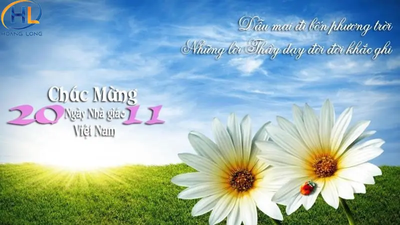 99+ mẫu phông nền, background 20/11 đẹp và ấn tượng nhất 2025