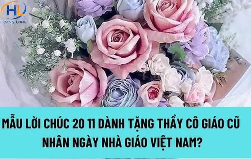 280+ lời chúc thầy cô 20/11 tri ân ngày Nhà Giáo Việt Nam hay và ý nghĩa nhất