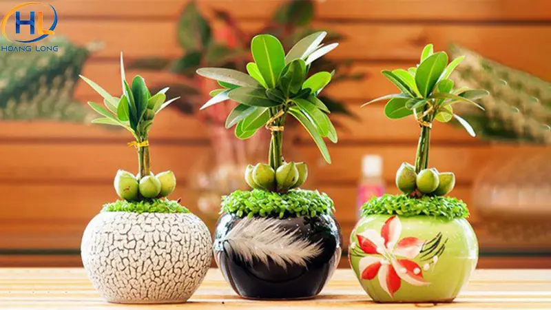 Đi tất niên tặng gì? Gợi ý 10 quà tặng tinh tế và ý nghĩa nhất